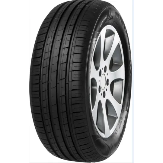 Pneu MINERVA F209 205/55 R16 91W pas cher