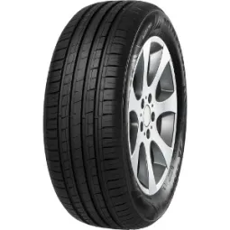 Pneu MINERVA F209 195/50 R15 82H pas cher