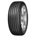 Pneu SAVA INTENSA HP2 205/55 R16 91V pas cher