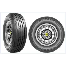 Pneu DUNLOP SPORT CLASSIC 185/70 R13 86V pas cher