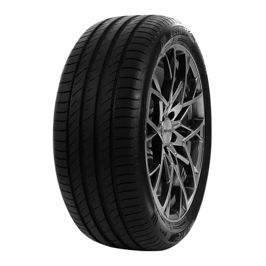 Pneu DELINTE DS2XL 205/45 R17 88W pas cher