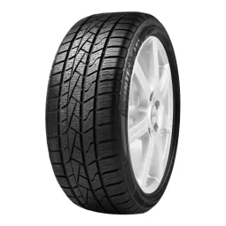 Pneu DELINTE AW5 155/70 R13 75T pas cher