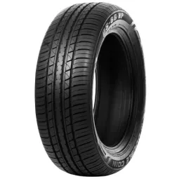 Pneu DOUBLE COIN DS66HP 225/55 R19 99V pas cher