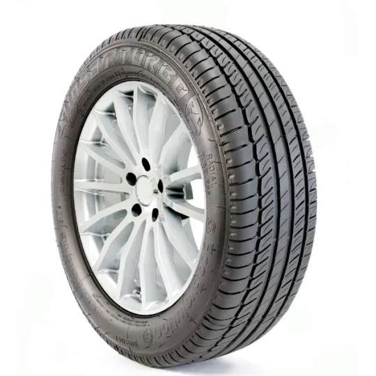 Pneu INSA TURBO ECOEVOLUTION PLUS 225/45 R17 91W pas cher