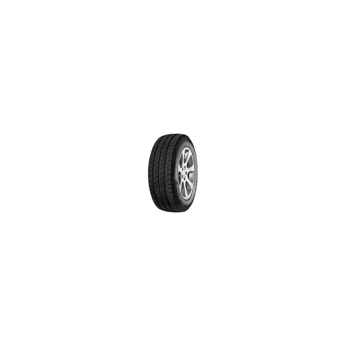 MINERVA FS VAN MASTER AS 175/65 R14 90T