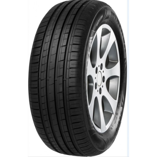 MINERVA F209 215/65 R16 102V