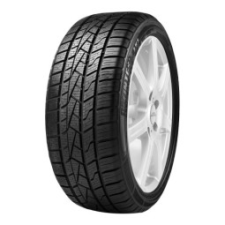 DELINTE AW5 155/80 R13 79T