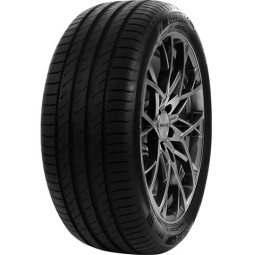 DELINTE DS2 195/55 R16 91V