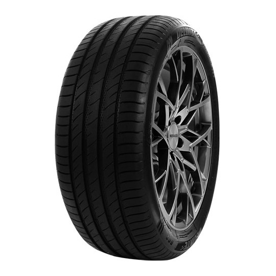 DELINTE DS2 195/55 R16 91V