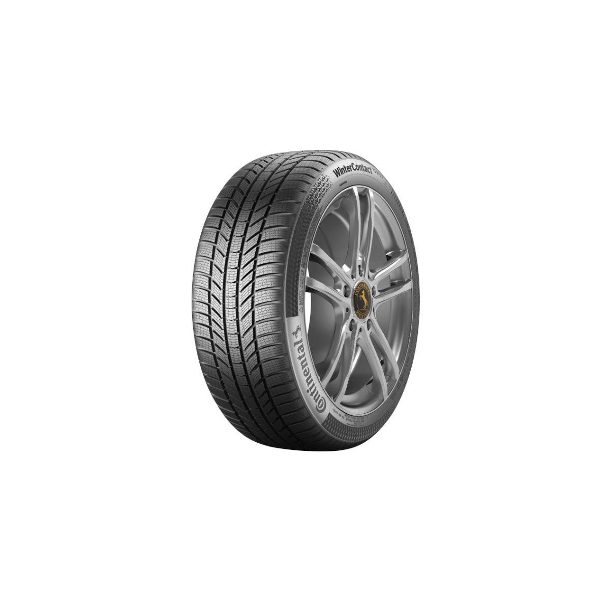 CONTINENTAL WinterContact TS870 P 255/45 R19 100V