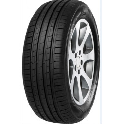 MINERVA 209 145/60 R13 66T
