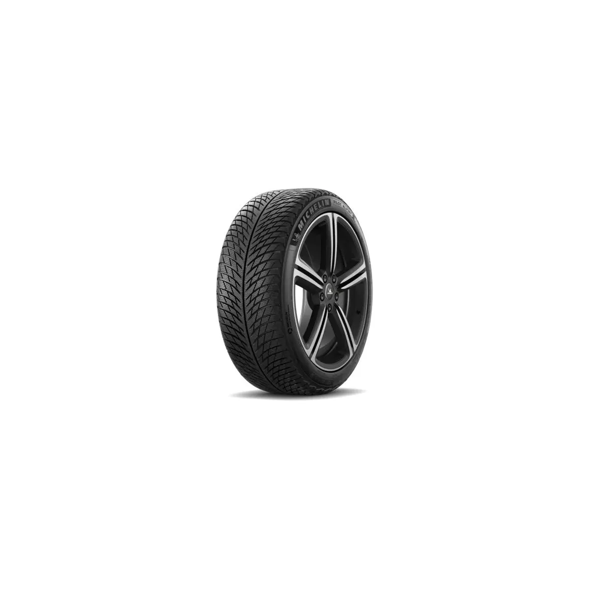 Pneu MICHELIN PILOT ALPIN 5 ND0 XL 275/40 R20 106V pas cher