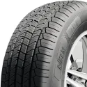 Pneu RIKEN 701 225/55 R19 99V pas cher