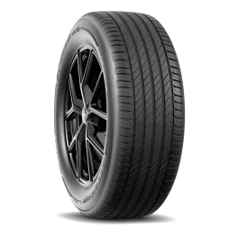 Pneu BF GOODRICH ADVANTAGE 2 SUV 255/50 R19 107V pas cher