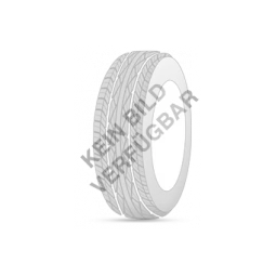 Pneu TECAR SUPER GRIP PRO-2 215/60 R17 96H pas cher