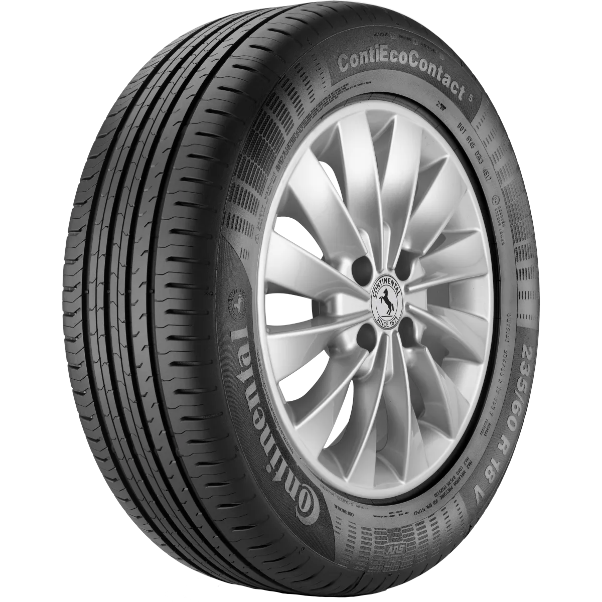 Pneu CONTINENTAL CONTIECOCONTACT 5 205/55 R16 91H pas cher